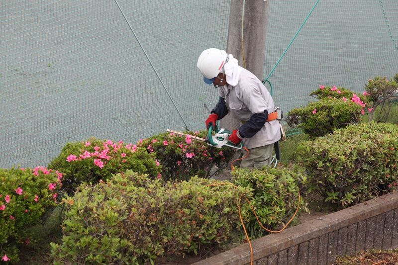 植え込みを手入れするスタッフ